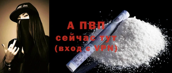 амф Новозыбков