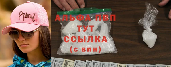 соль ск Новодвинск