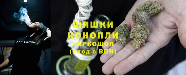 соль ск Новодвинск