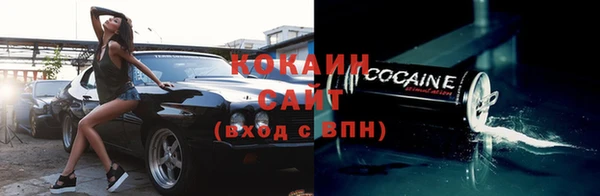 дмт Новокубанск