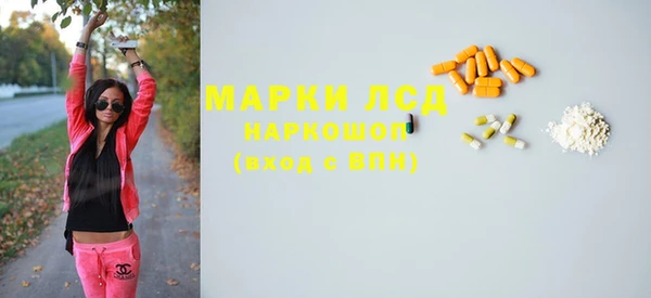 амф Новозыбков