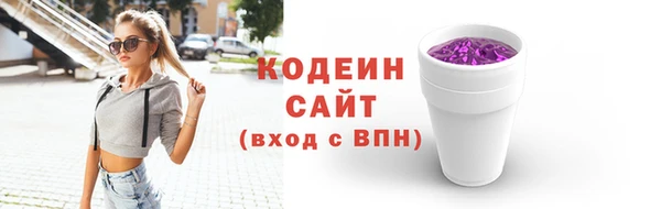 амф Новозыбков