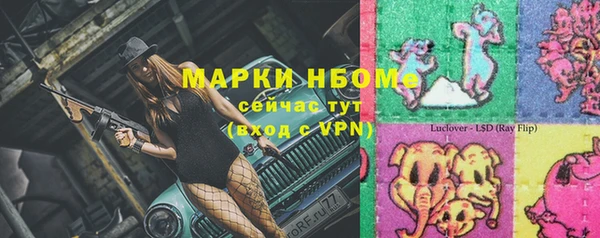 амф Новозыбков