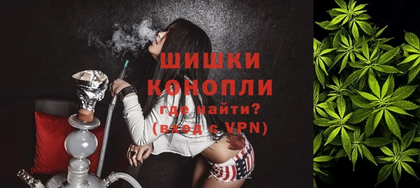 дмт Новокубанск