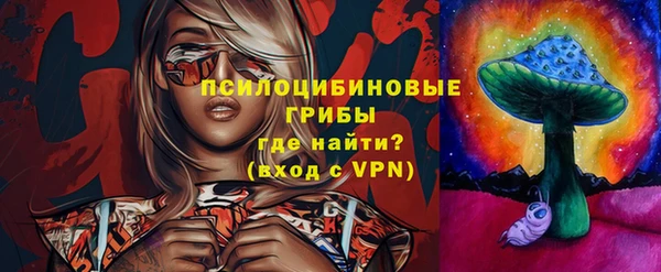 МДПВ Липки
