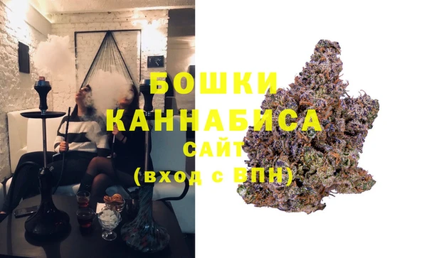МДПВ Липки