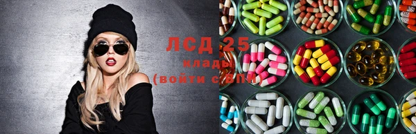 дмт Новокубанск