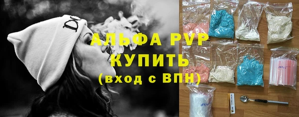соль ск Новодвинск