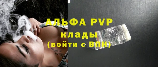 соль ск Новодвинск