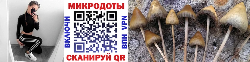 Псилоцибиновые грибы мицелий  hydra   Лаишево 