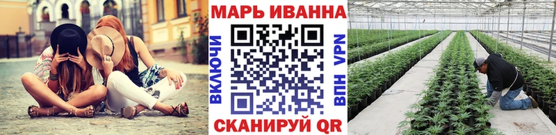 Конопля OG Kush хочу наркоту Лаишево